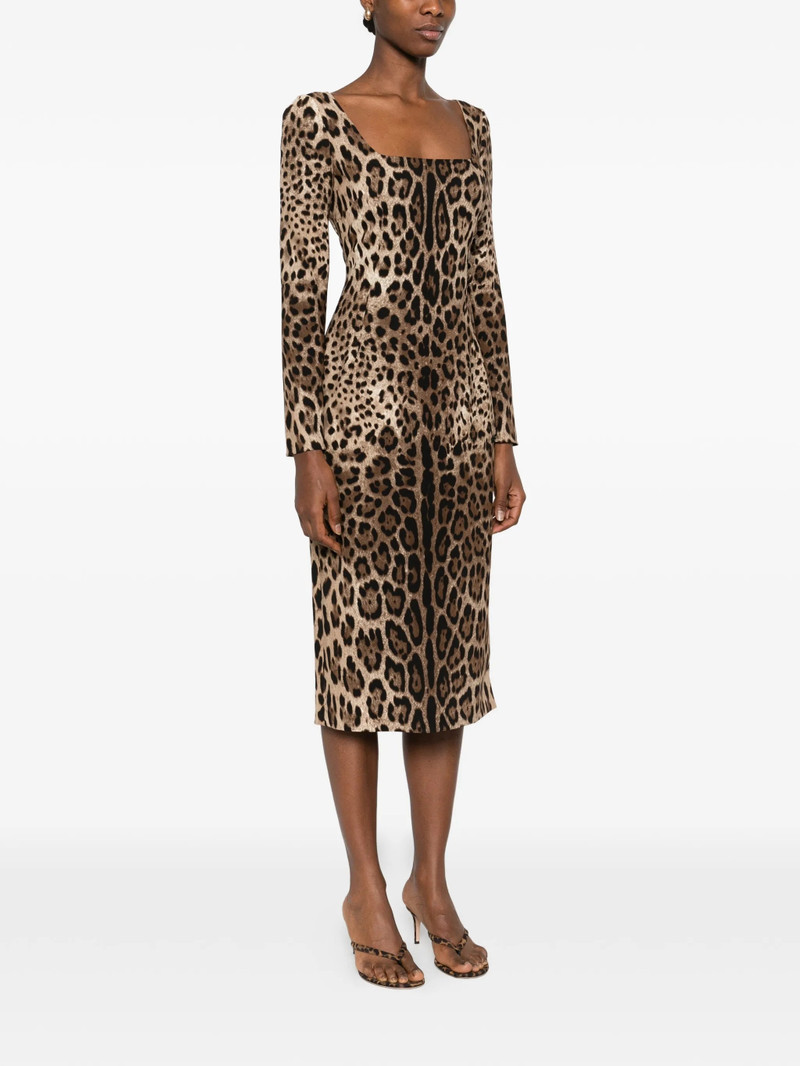 Dolce & Gabbana Dolce & Gabbana Animal-print Dress outlook