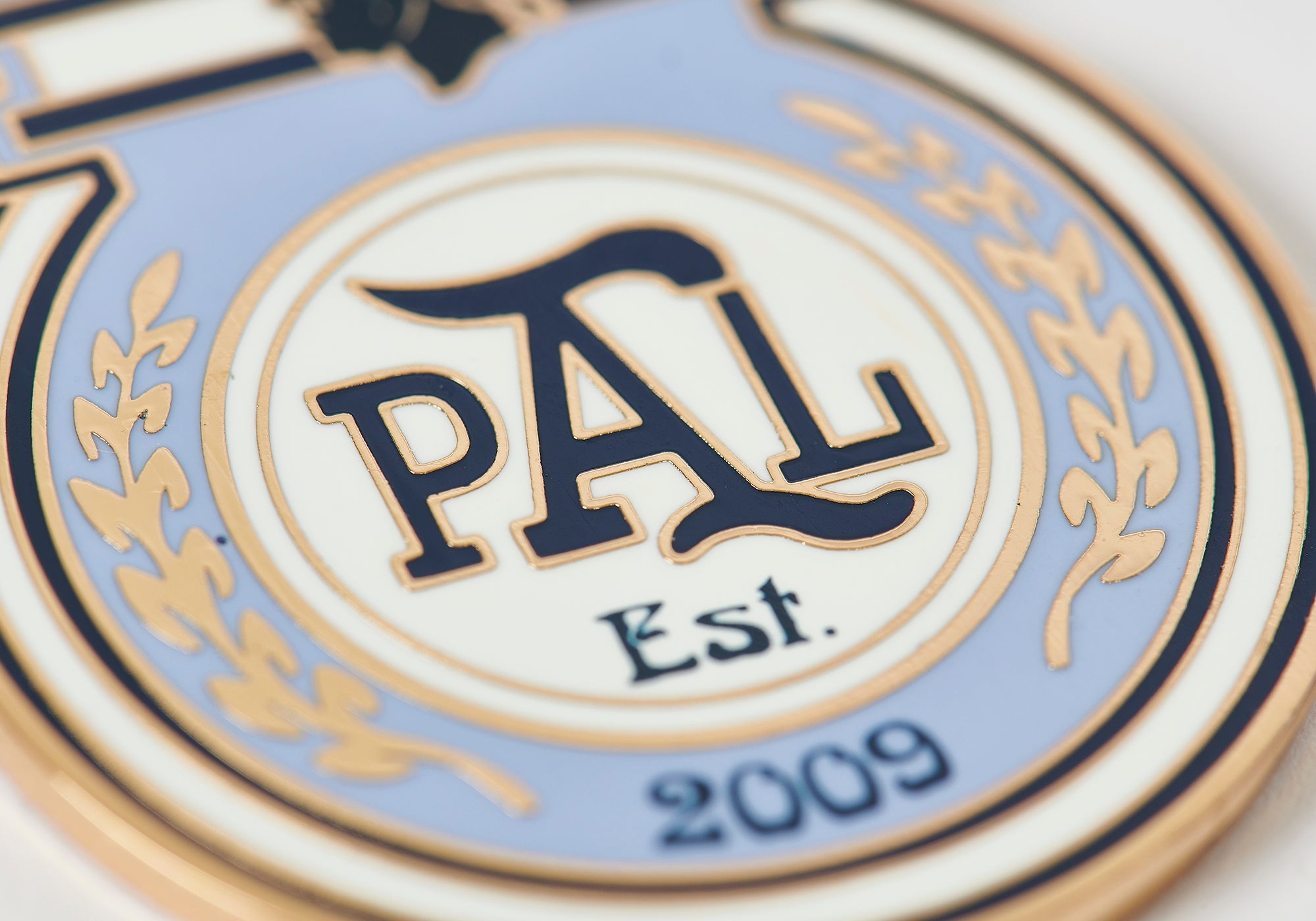 PALACE PRO KEYRING MULTI - 2
