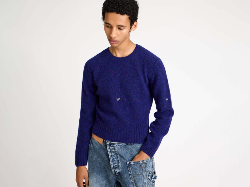 SLEEVE EMBROIDERED CREW NECK JUMPER IN VIOLET 5