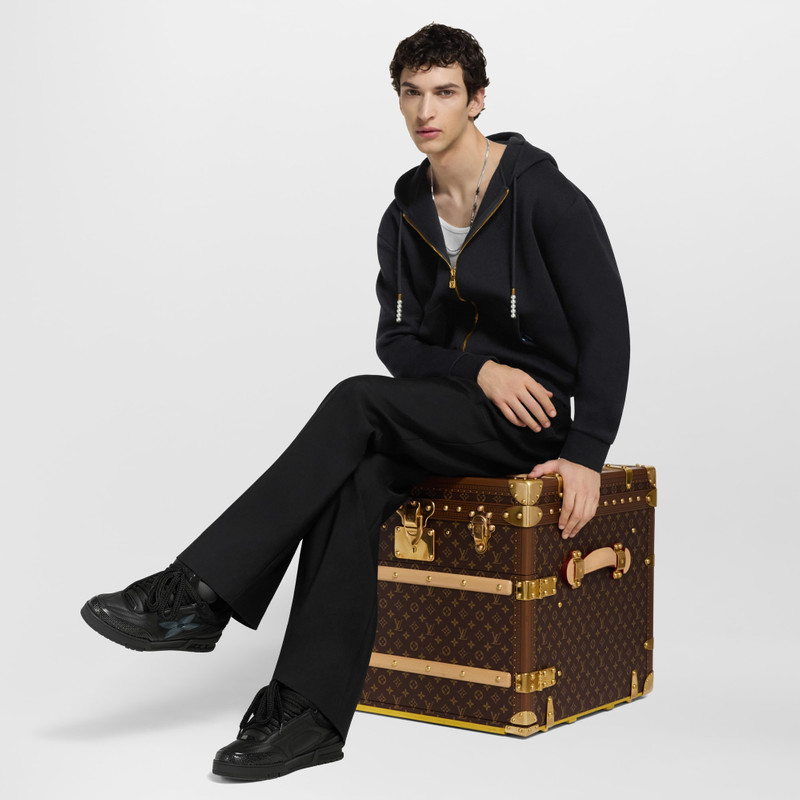 Louis Vuitton LV Skate Sneaker outlook