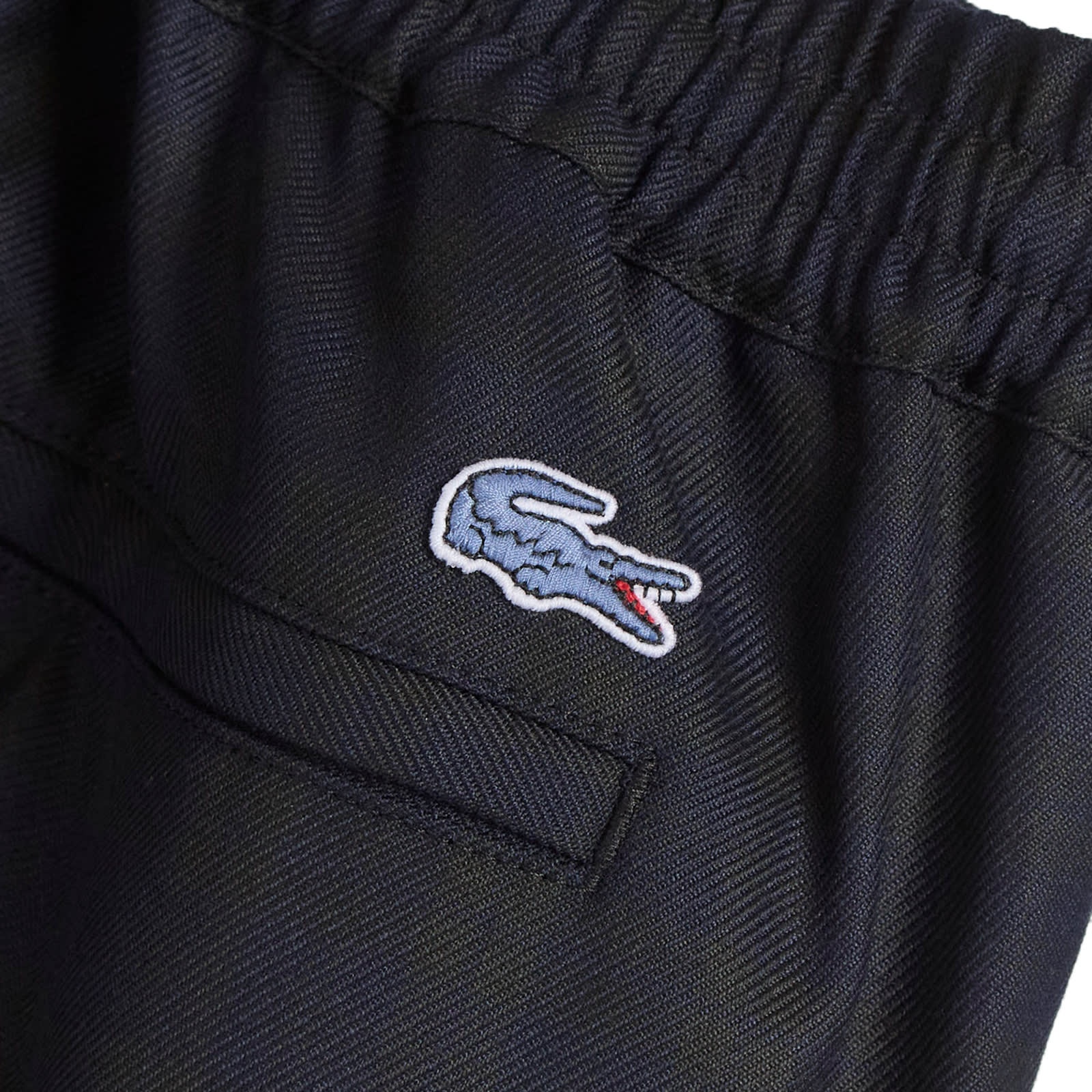 END. x Lacoste Pant - 3