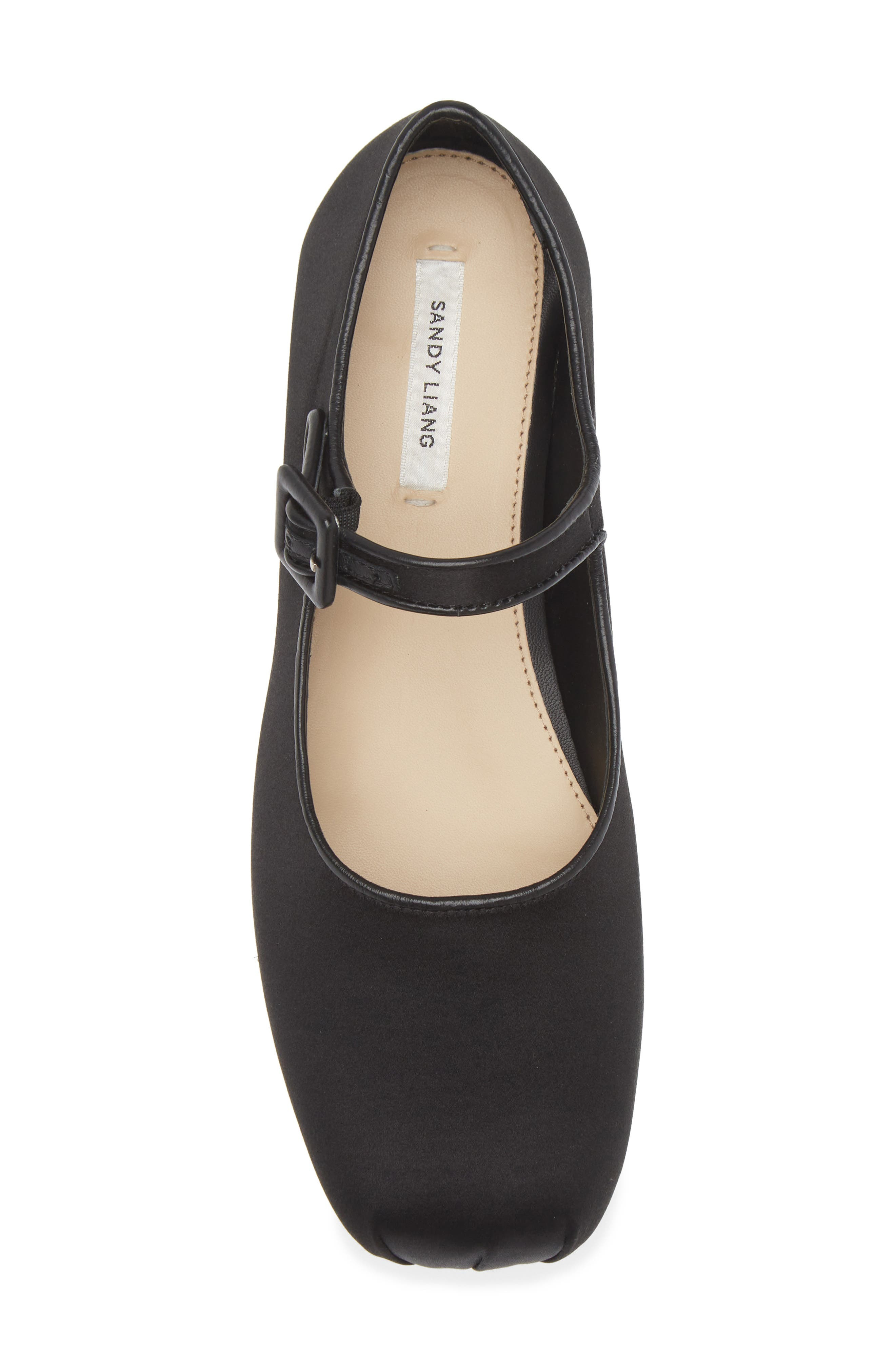 Pointe Mary Jane Flat - 5