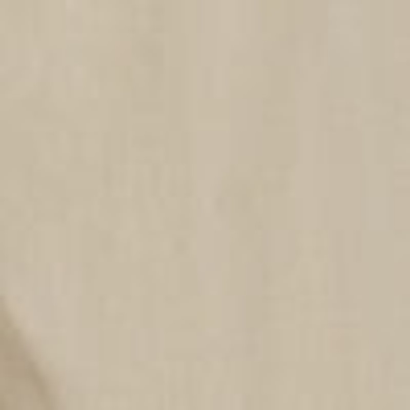 Bufus Pant in Cotton 6