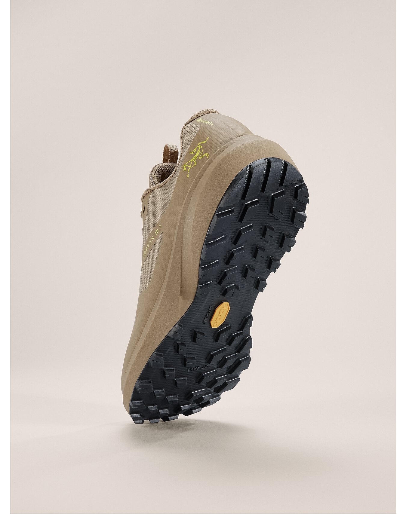 Norvan LD 3 GTX Shoe - 4