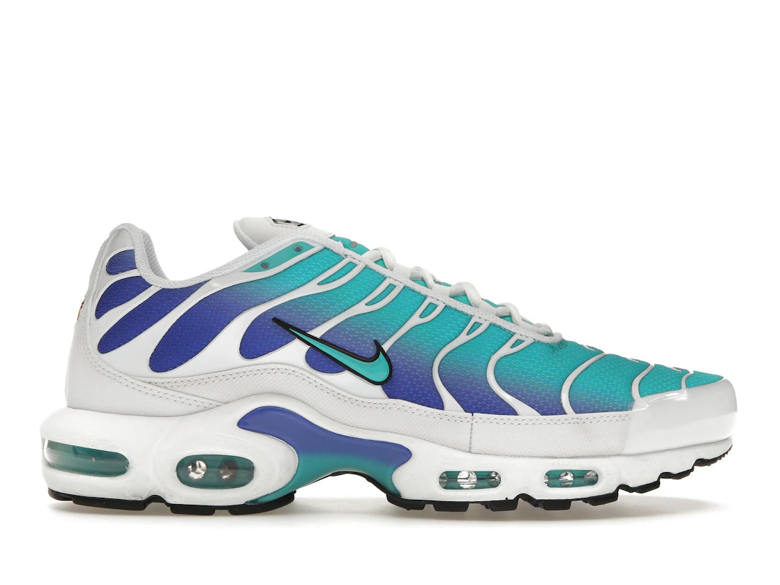 Nike Air Max Plus Aqua - 1