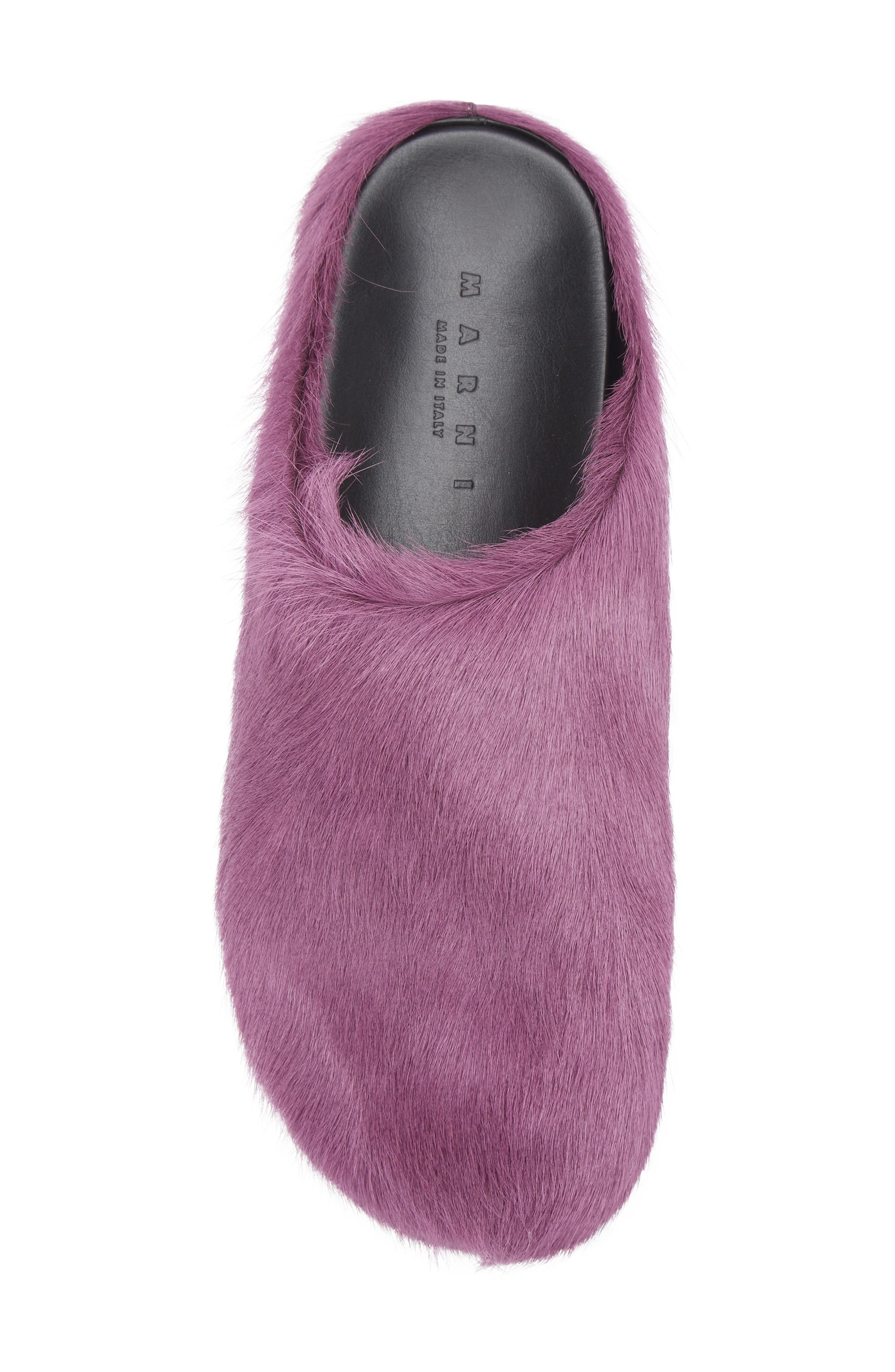 Marni Fussbett Sabot Genuine Calf Hair Clog in Purple at Nordstrom - 5