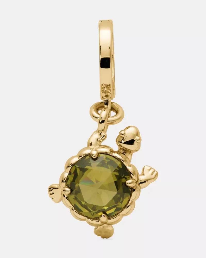 One In A Million Turtle Charm - 1