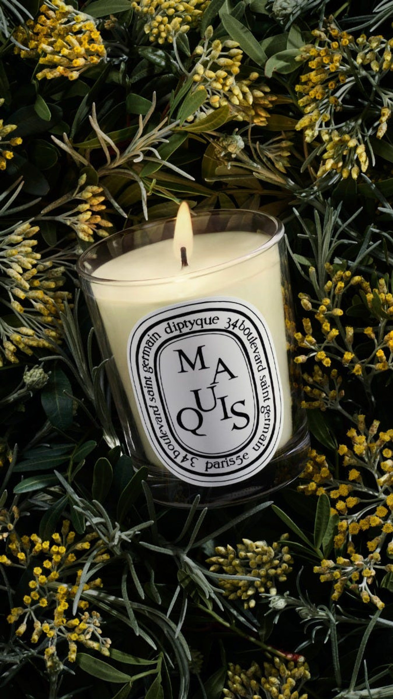 Maquis (Scrub) - Classic Candle 5
