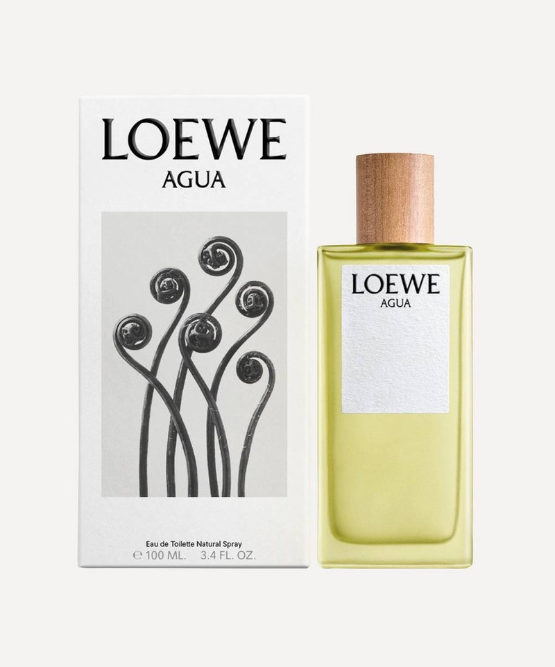 Loewe Agua Eau de Toilette 100ml outlook