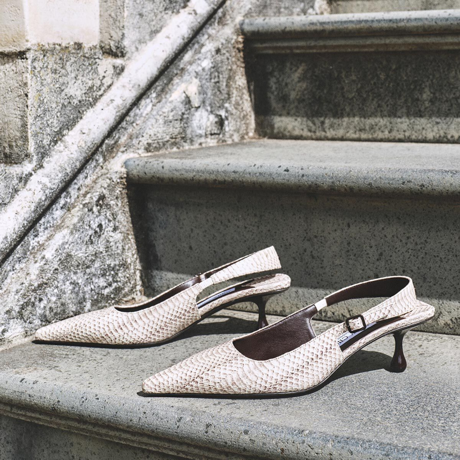 Amel 50
Roccia Snake Print Leather Pumps - 6