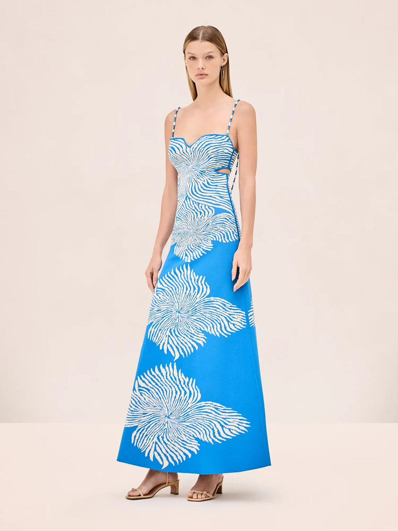 ALEXIS RAYANA DRESS outlook