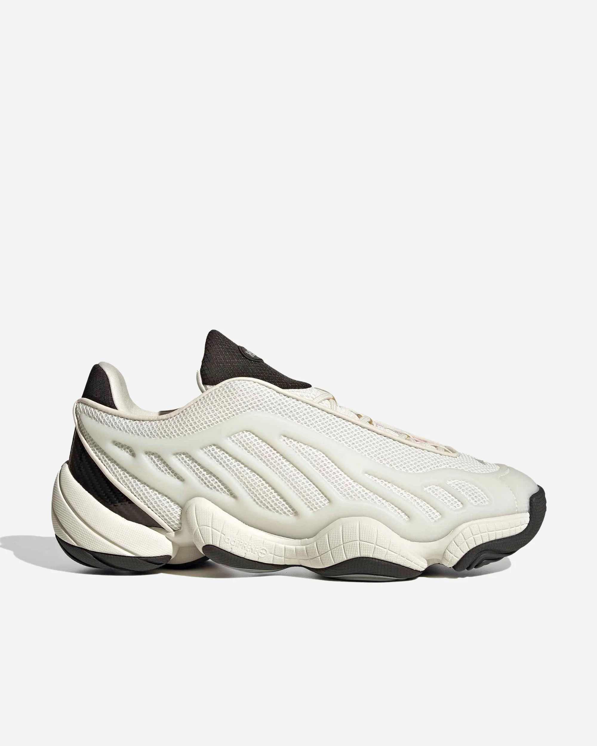 Intimidation Hal Studios - 1