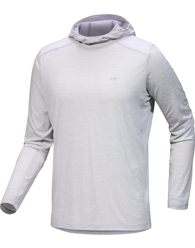 Ionia Merino Wool Hoody 1