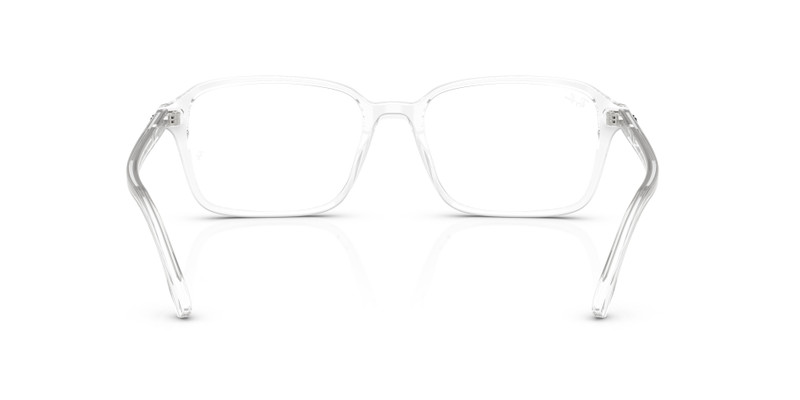 RAIMOND OPTICS 6