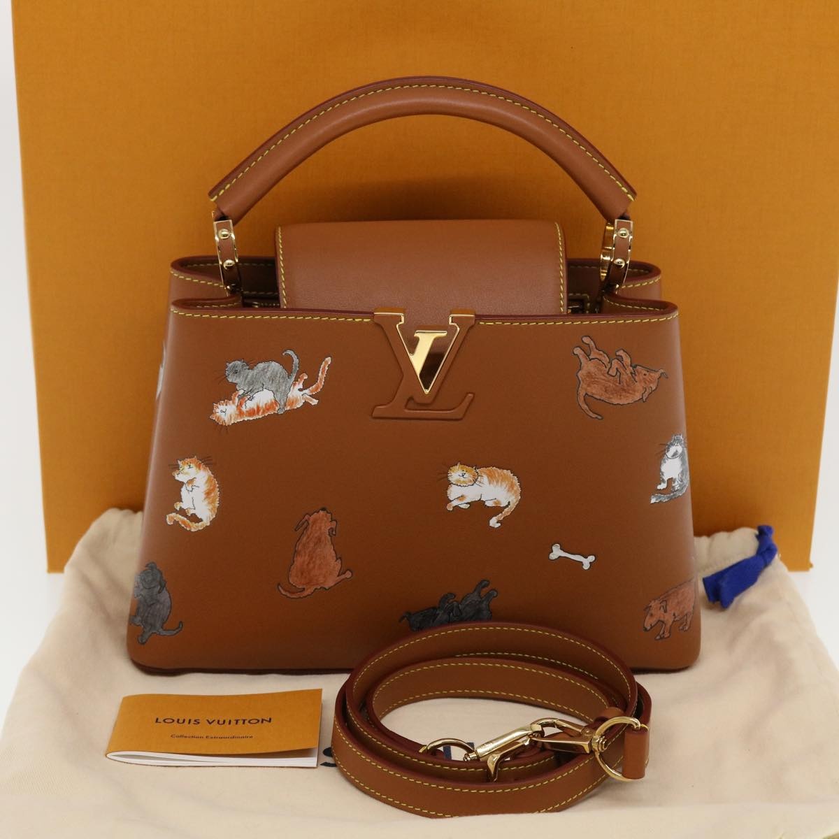 LOUIS VUITTON Catgram Capsine BB Hand Bag Brown M53185 - 12