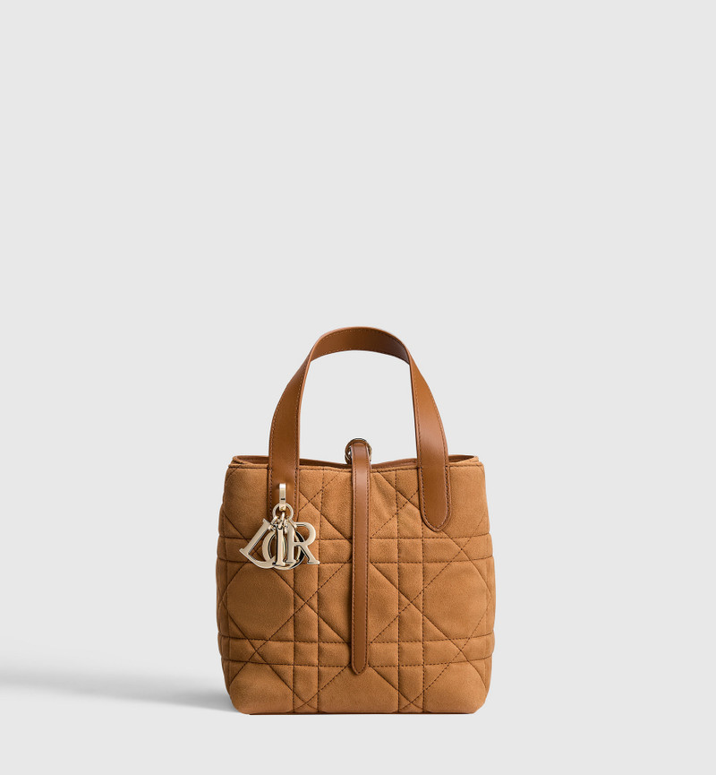 Small Dior Toujours Vertical Tote Bag 1