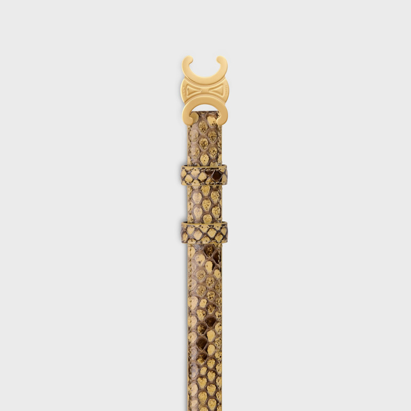 Small 18MM Triomphe Belt IN PYTHON 3