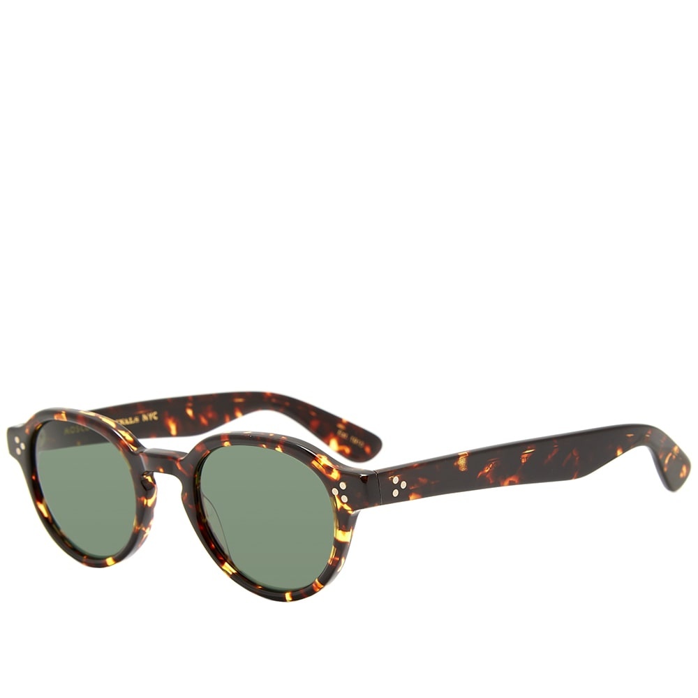 Moscot Ezra Sunglasses - 1