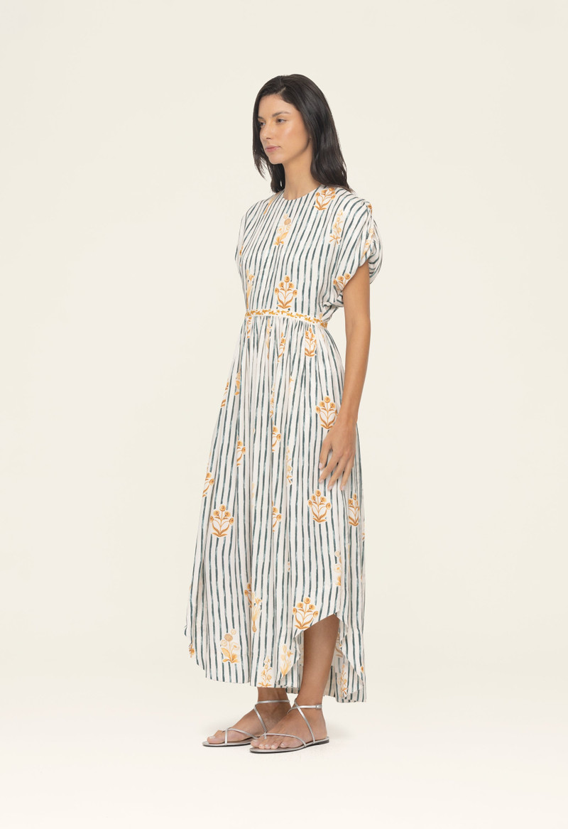 Aire Herbario Maxi Dress 5