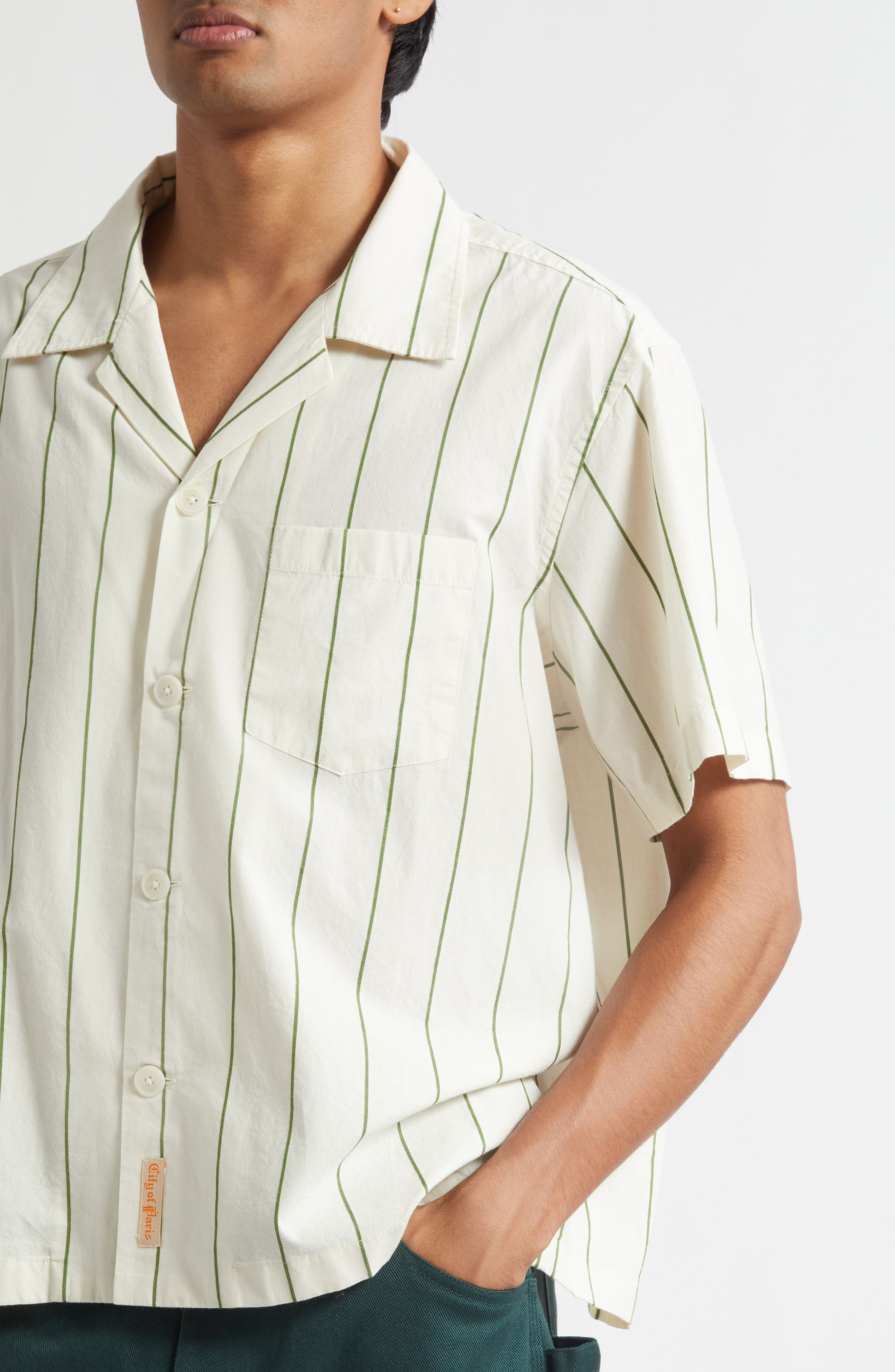 Bode Celery Stripe Short Sleeve Cotton Button-Up Shirt in Green Cream at Nordstrom - 4