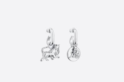 Dior DIOR AND PETER DOIG Earrings outlook