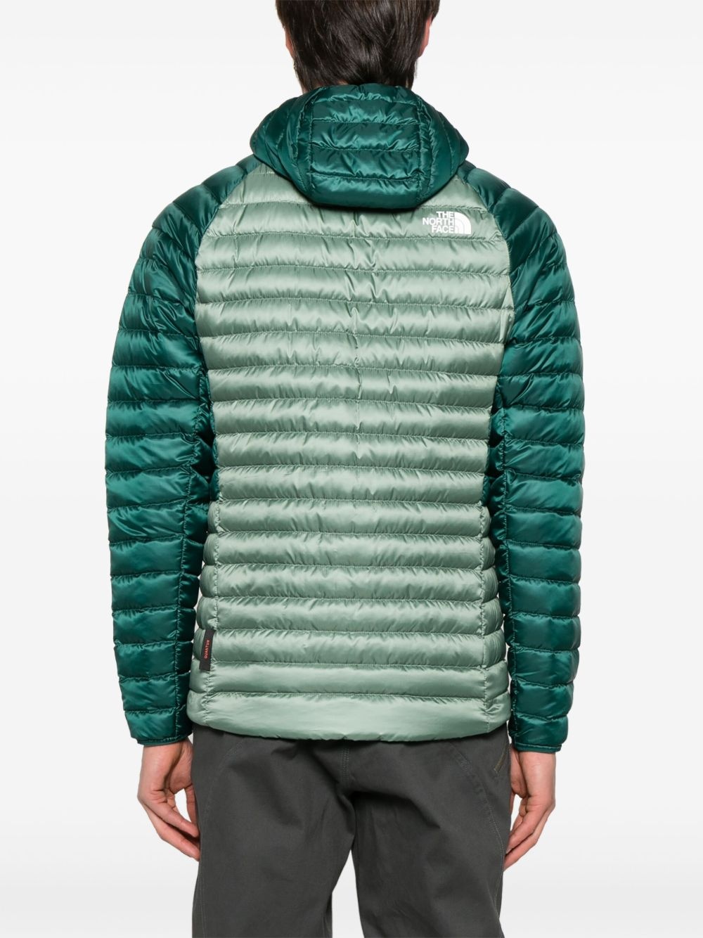Bettaforca LT jacket - 4