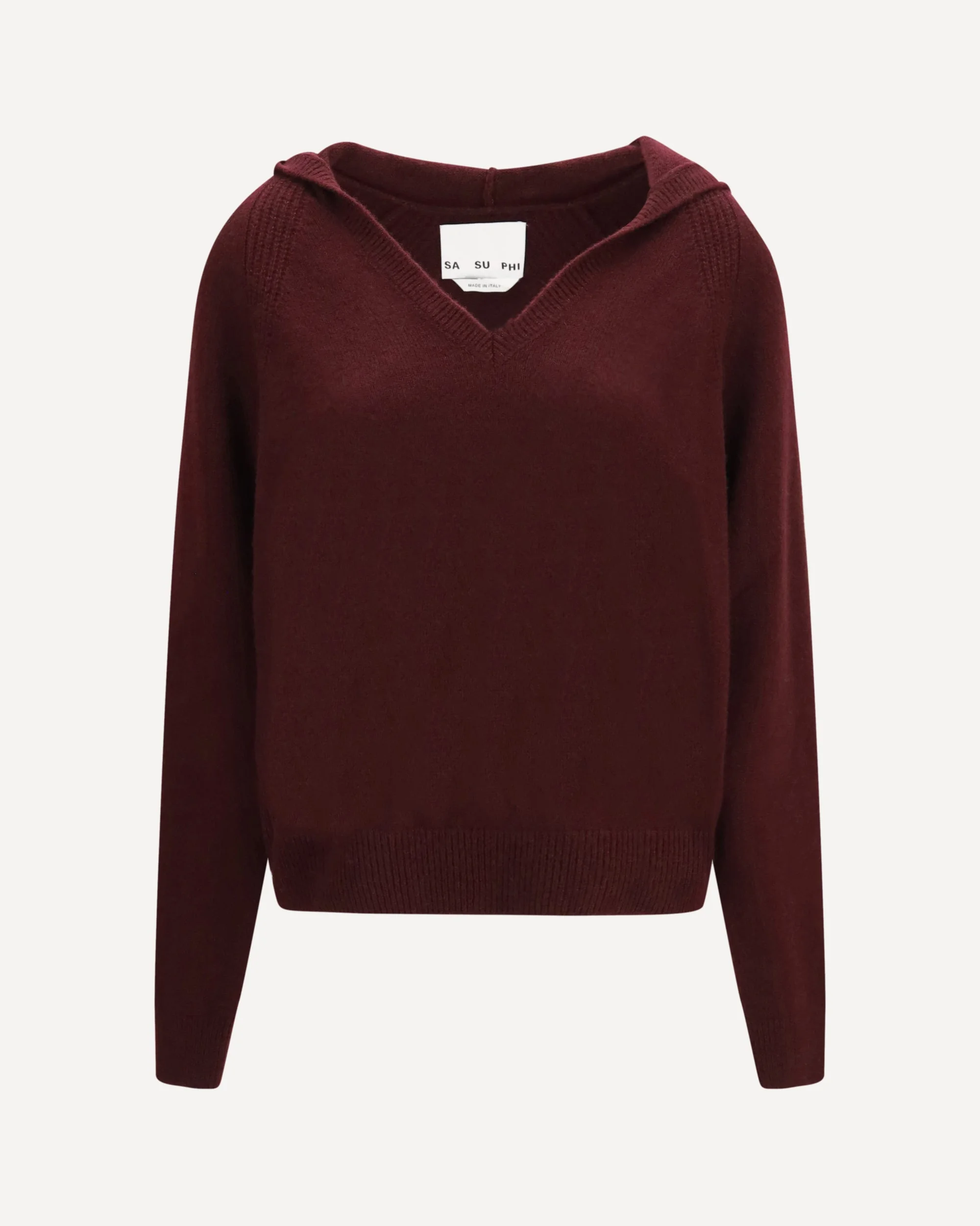 Cashmere hooded Sweater - 1