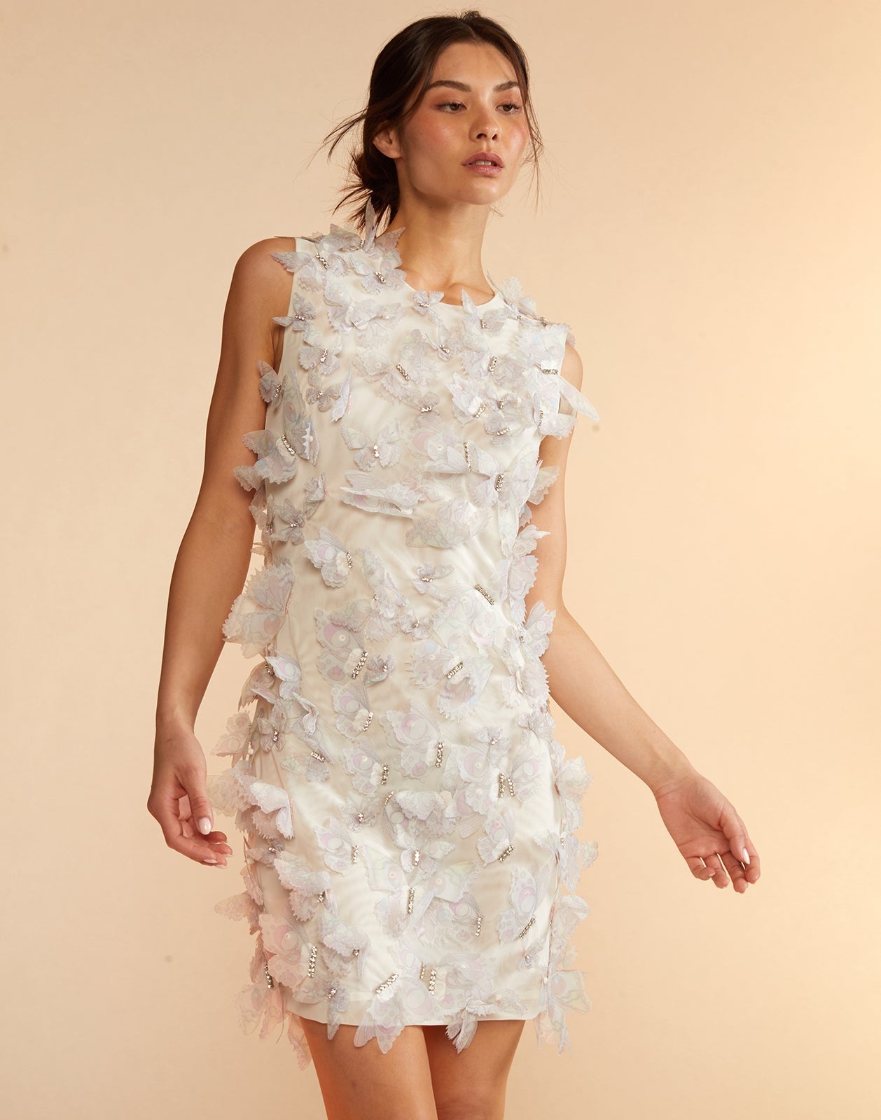 Butterfly Embellished Dress - 6