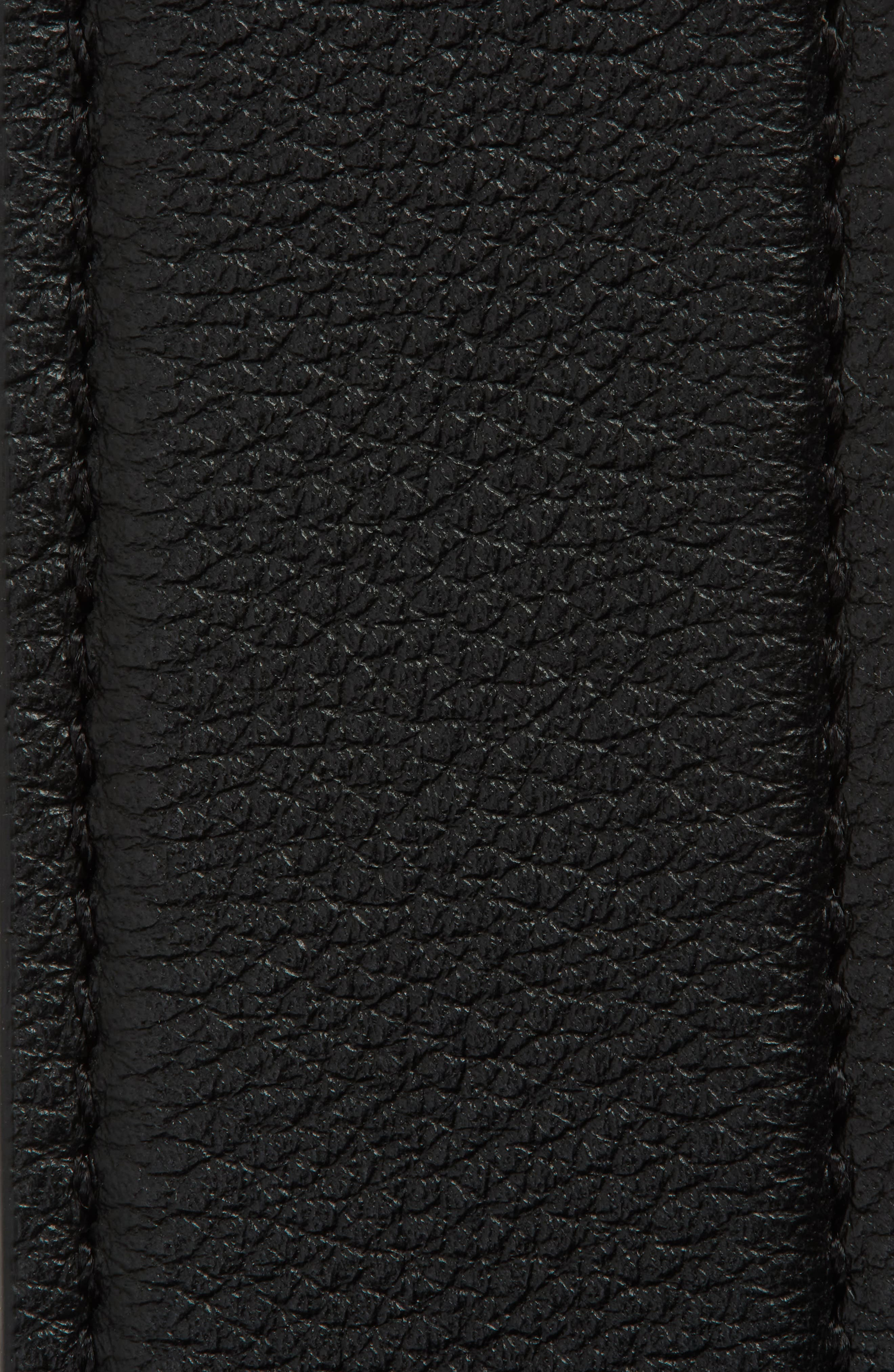 The Row Jewel Belt in Black/Silver at Nordstrom - 2