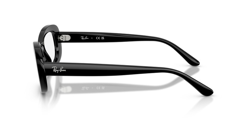 RB2221V OPTICS 5