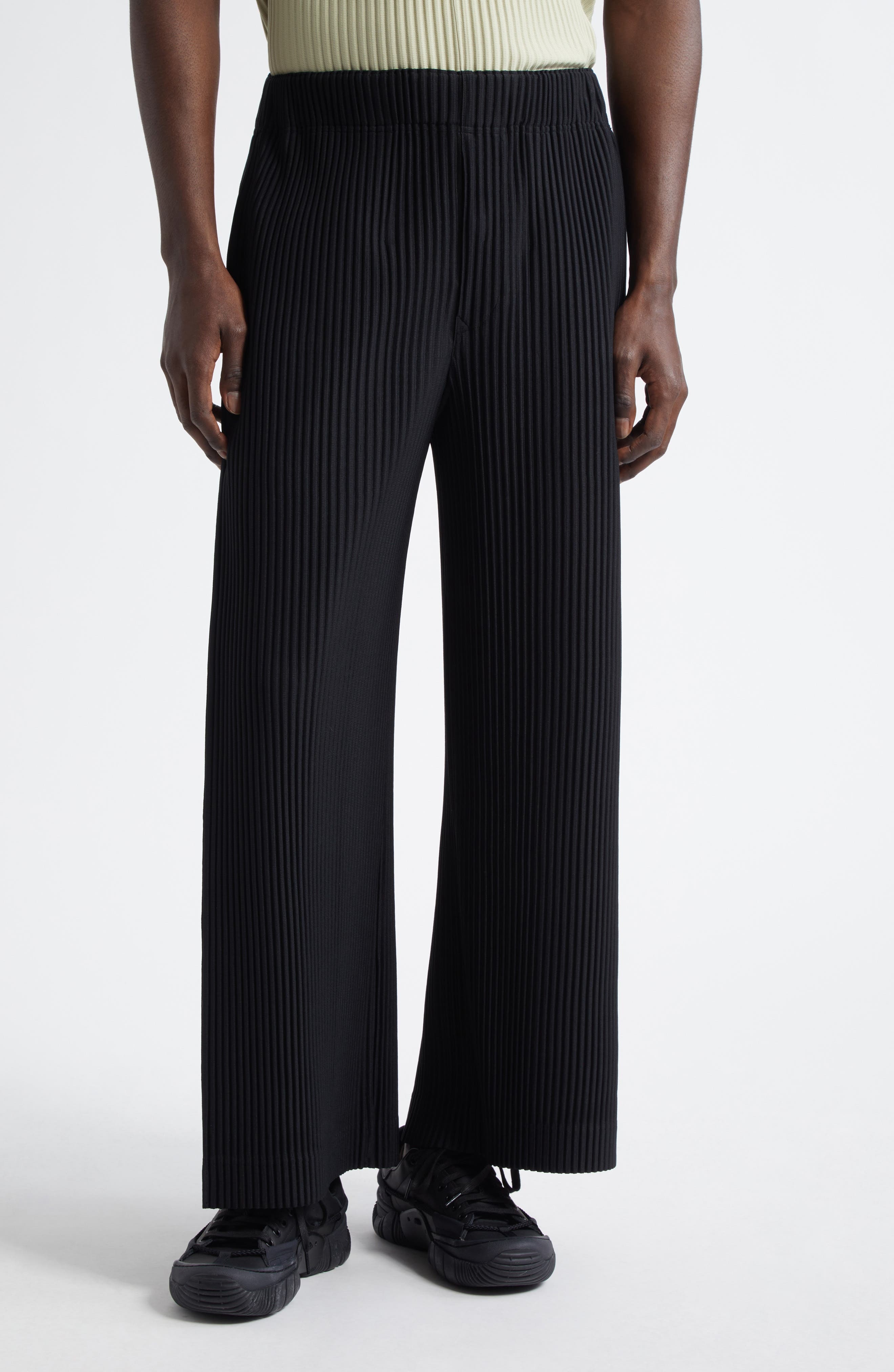 Homme Plissé Issey Miyake Monthly Colors May Pleated Wide Leg Pants in Black at Nordstrom - 1