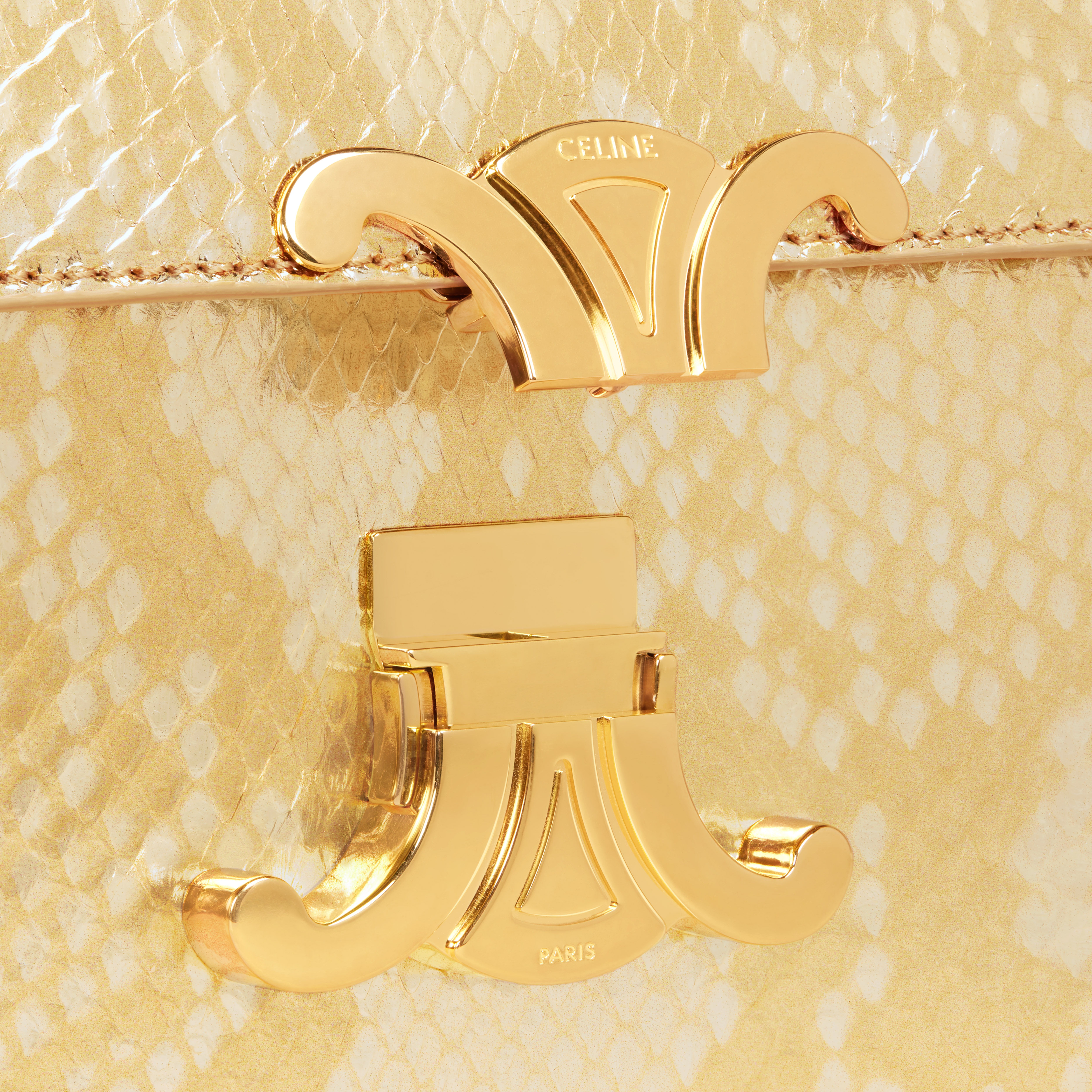 CHAIN SHOULDER BAG triomphe in PYTHON - 5
