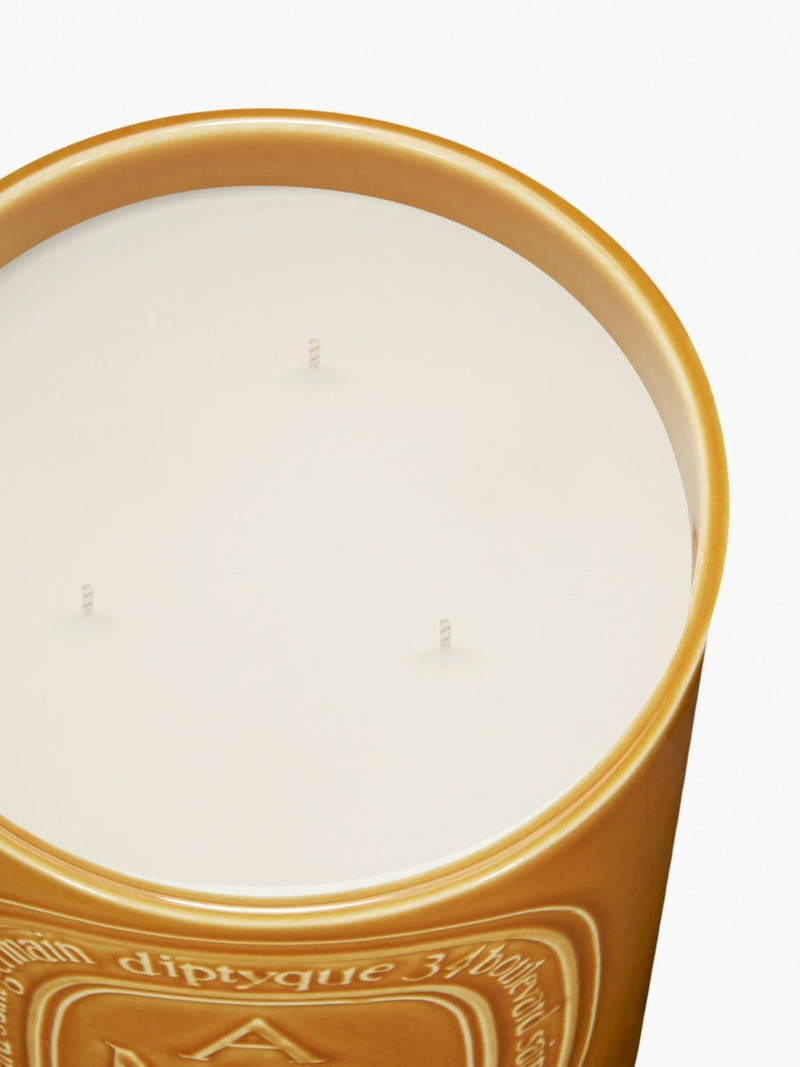 Ambre (Amber) - Large Candle 3