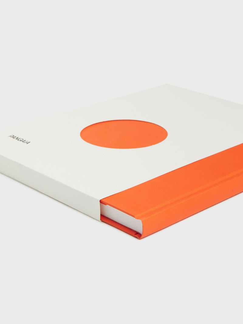 Tree Free Notebook - Persimmon Orange 5