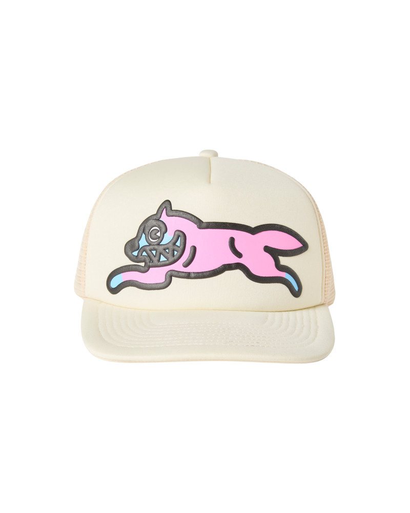 ICECREAM RUNNING DOG TRUCKER HAT outlook