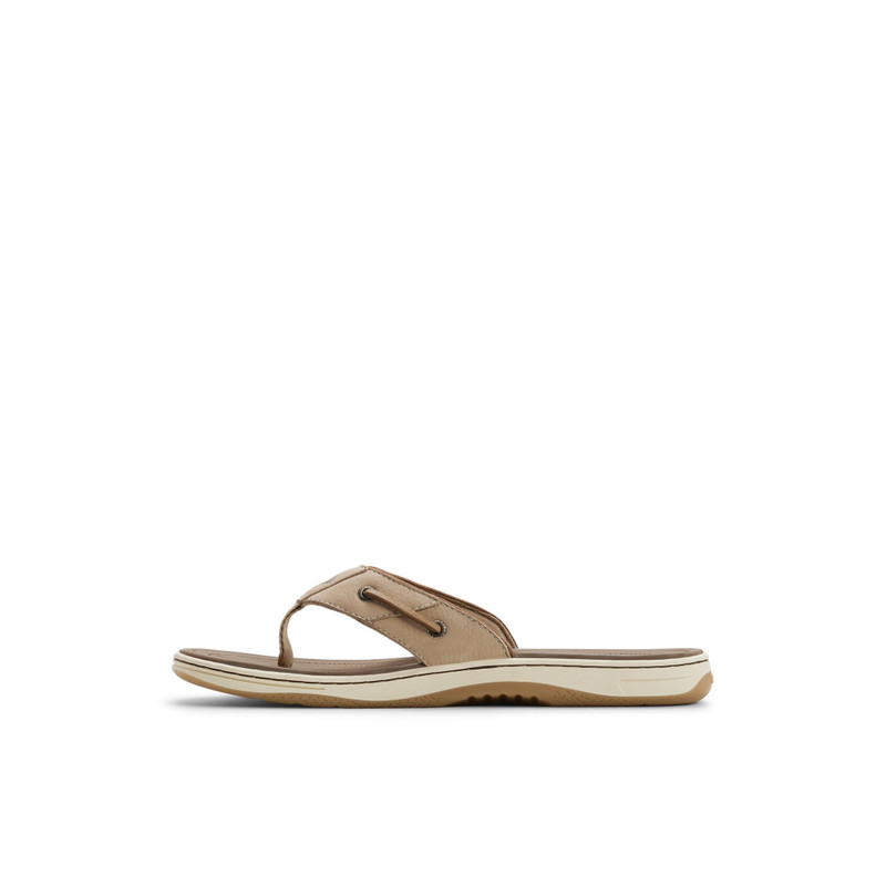 SPERRY Baitfish Thong Sandal outlook