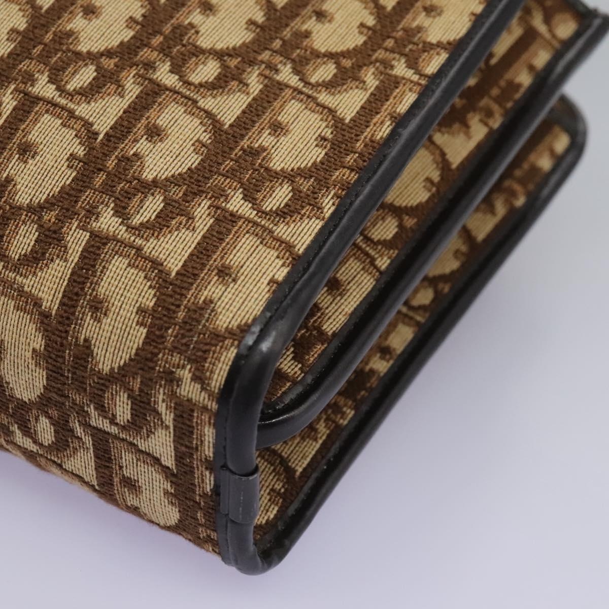DIOR Trotter Canvas Hand Bag Brown - 12
