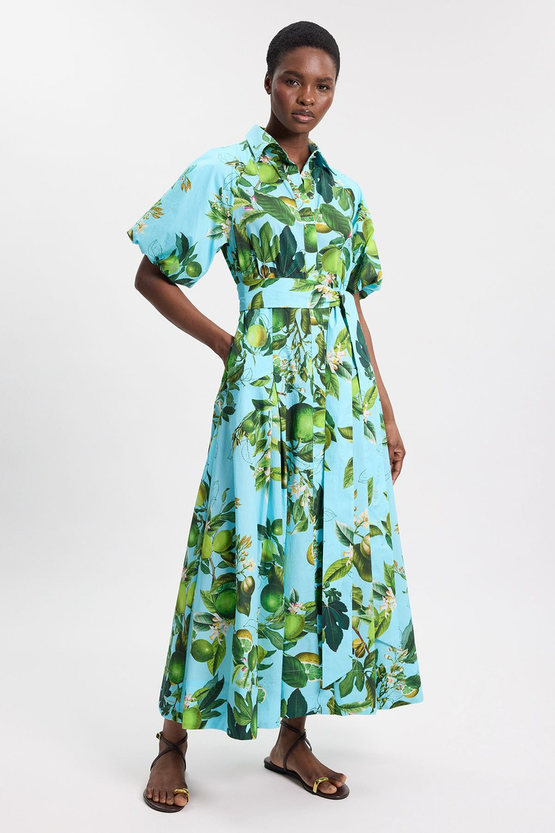 Petite Lime Print Cotton Puff Sleeve Woven Midi Shirt Dress With Dropped Waist Detail 1