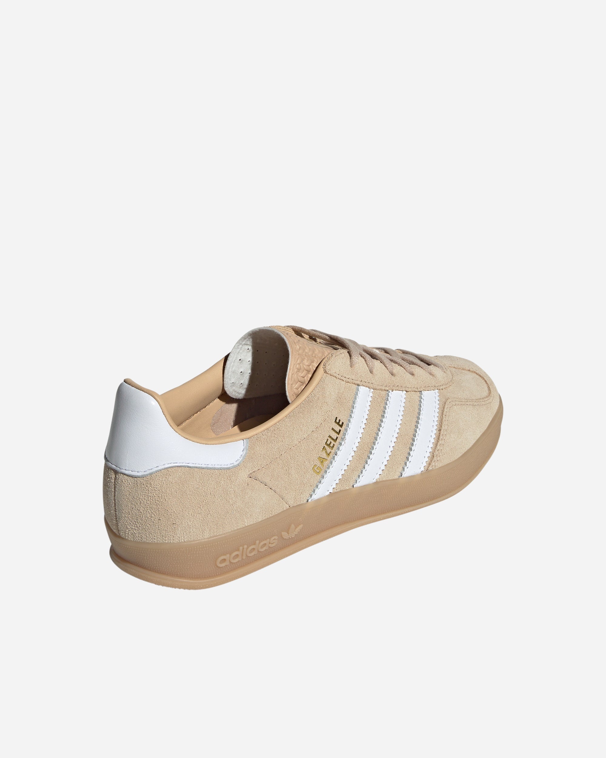 Gazelle Indoor - 3