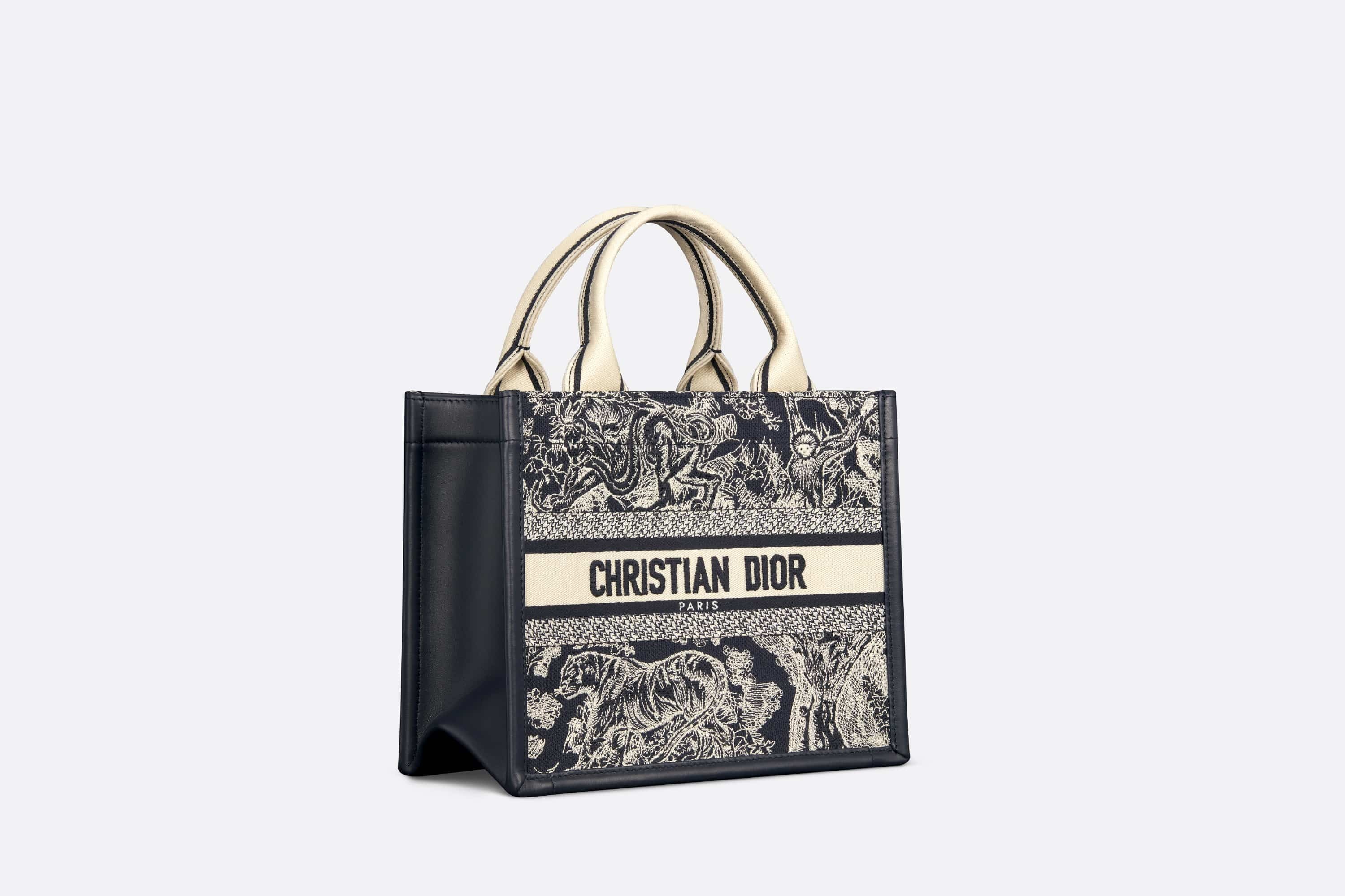 Small Dior Book Tote - 3