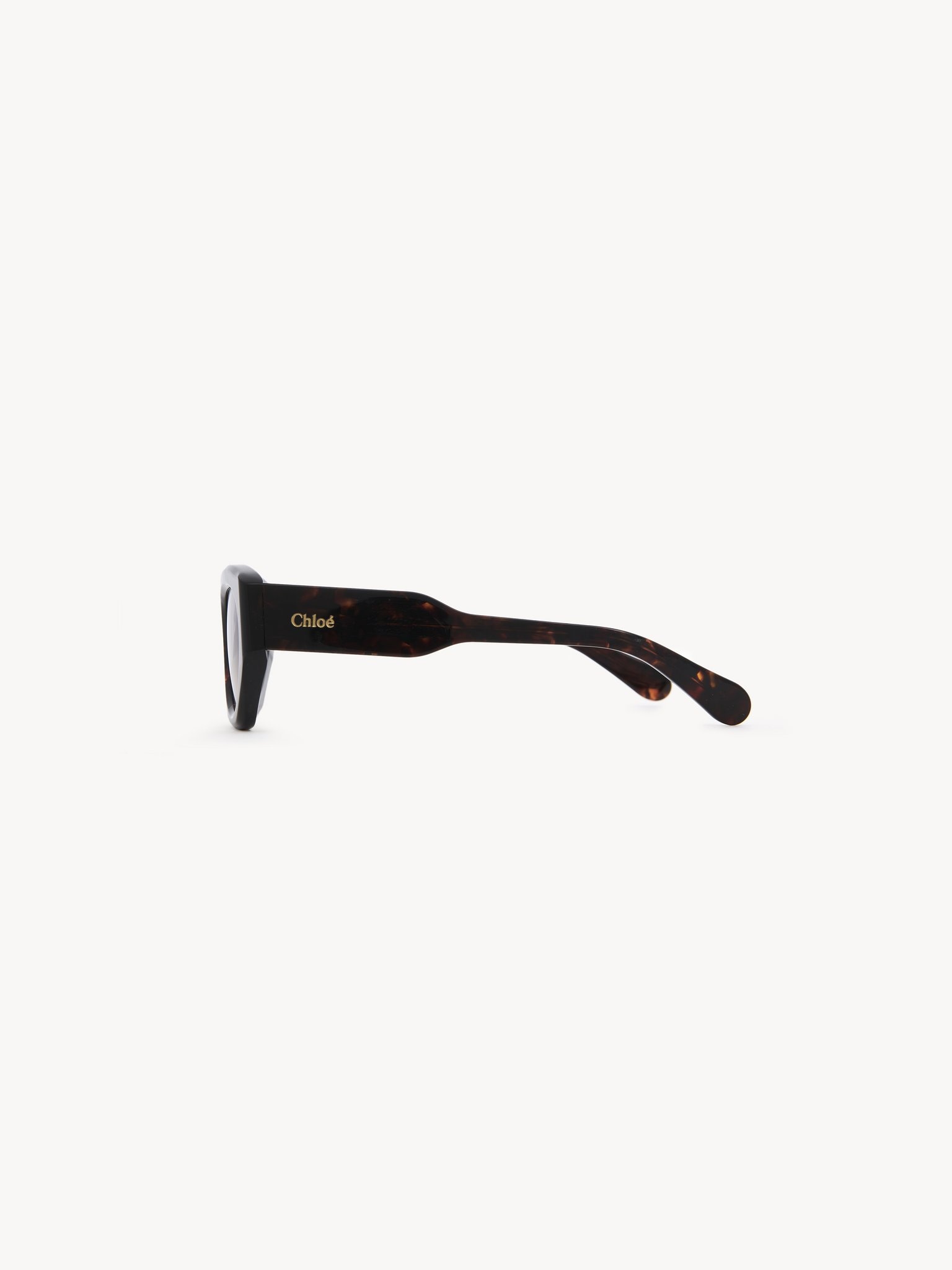 GAYIA SUNGLASSES - 3