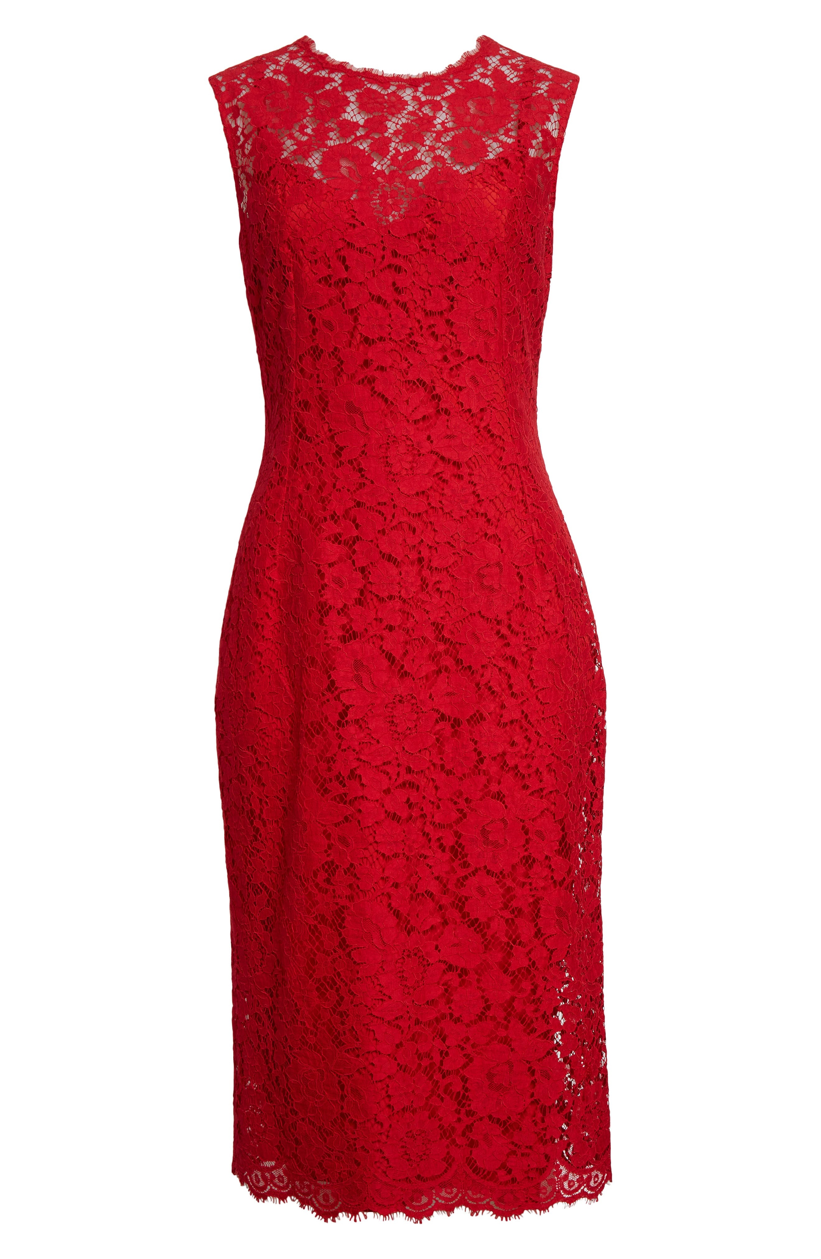 Dolce&Gabbana Floral Lace Sheath Dress in R0026 Bordeaux Chiaro at Nordstrom - 5