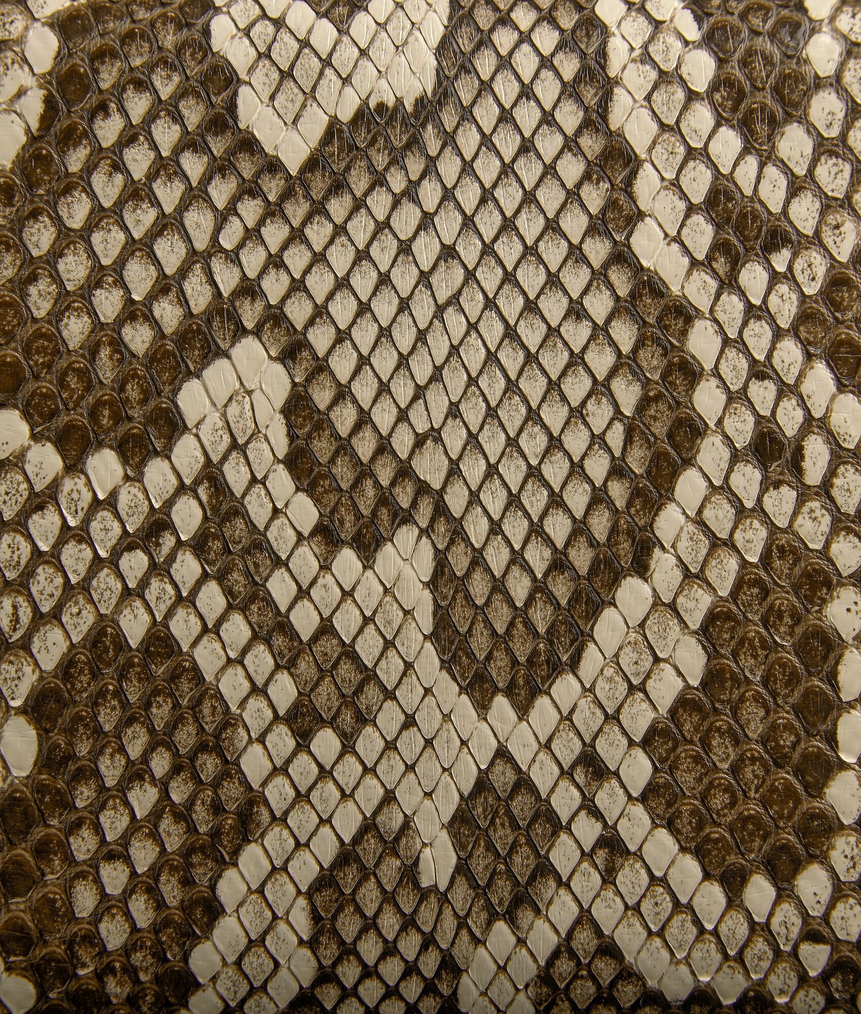 Knot - 6