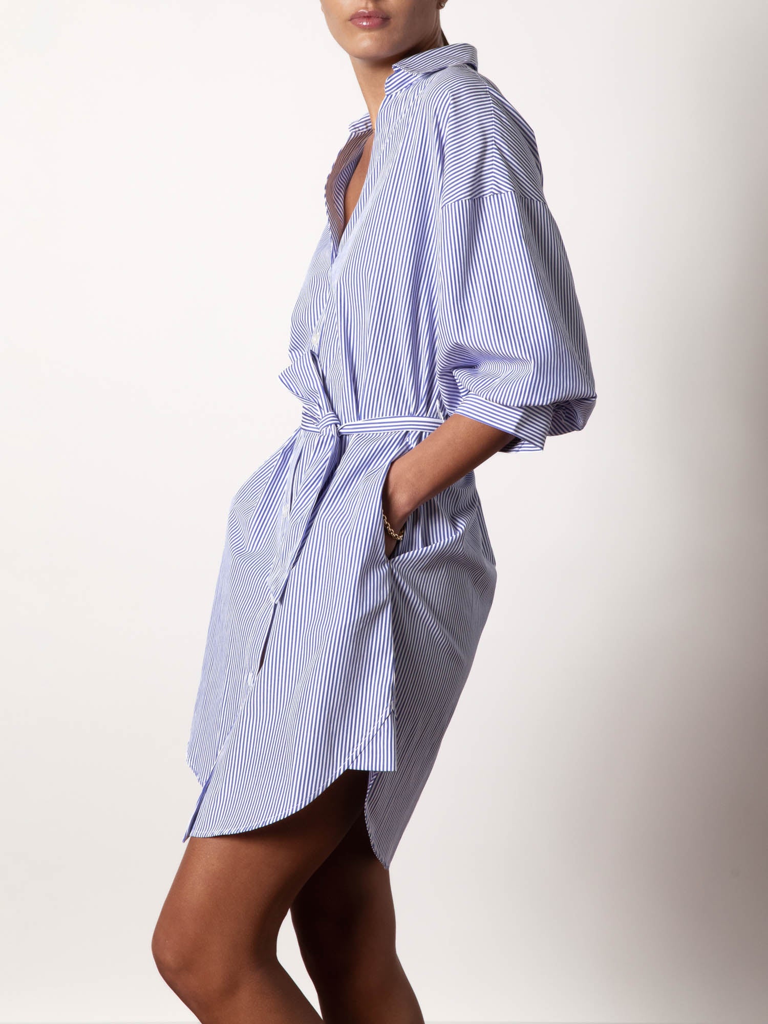 The Kate Belted Dress - 3