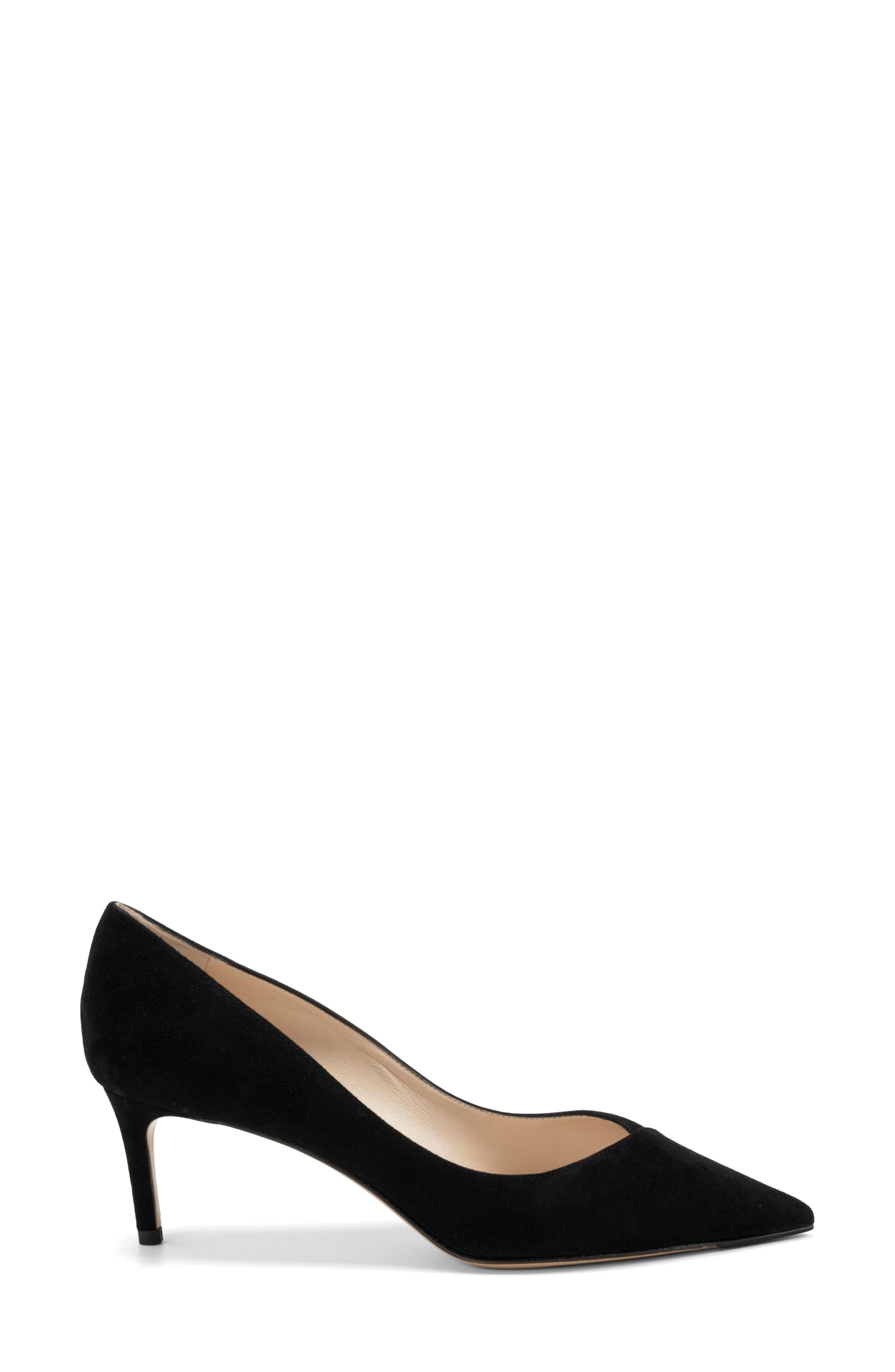 Alexandre Birman Pamela Pointed Toe Pump in Black at Nordstrom - 2