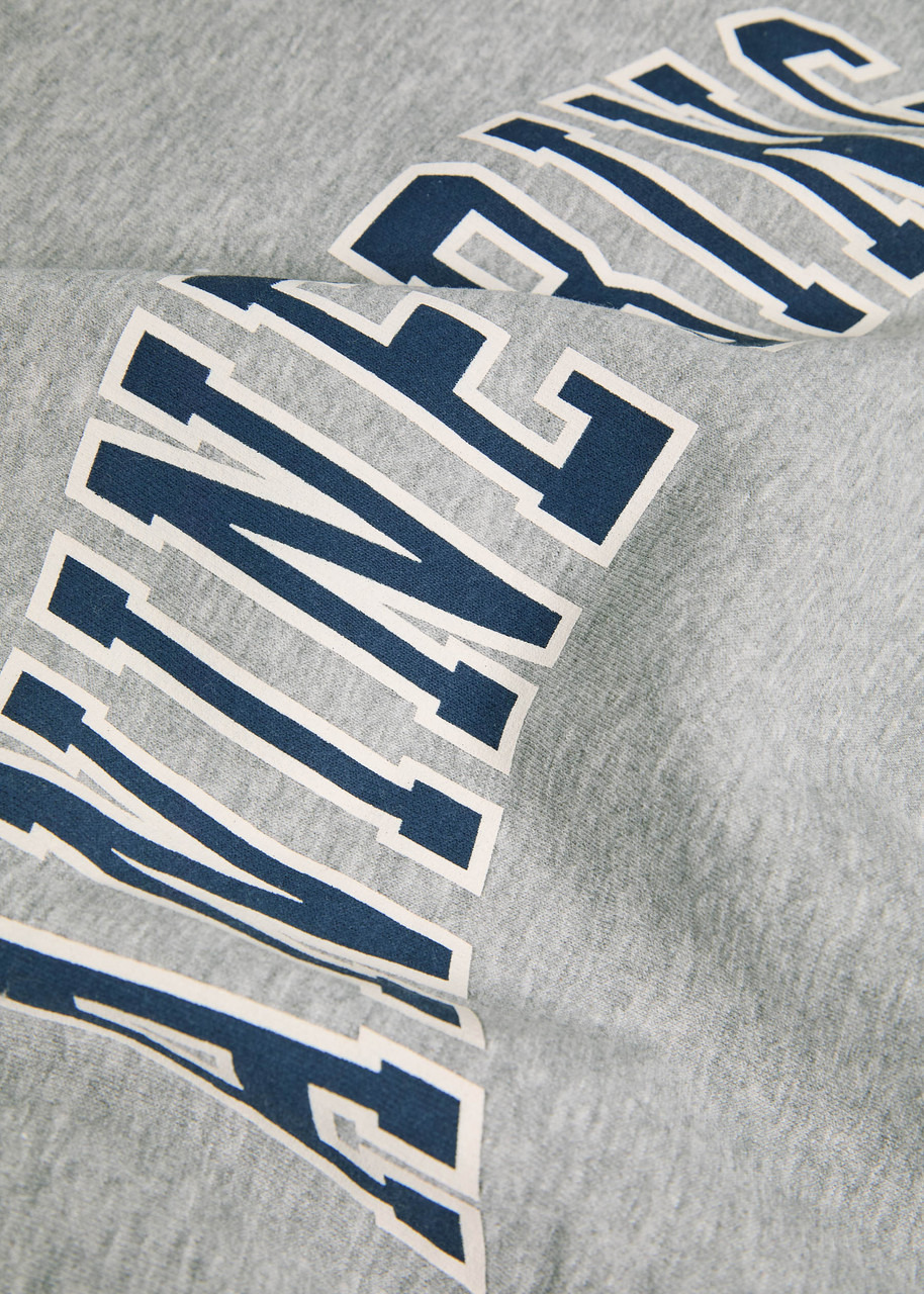 Anine Bing Spencer Logo Cotton-blend Sweatshirt - 5