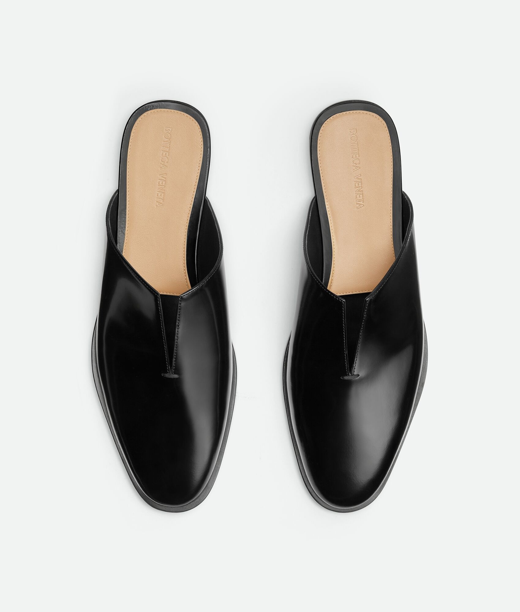 Cha-Cha Slipper - 4