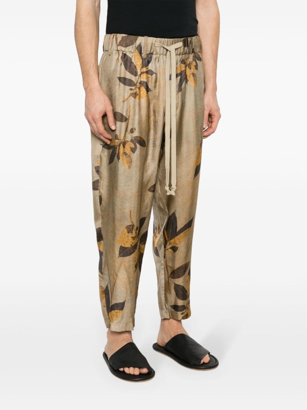 branches-printed tapered trousers - 3