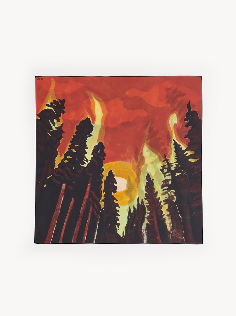 Chloé CLIMATE SUCCESS SCARF outlook