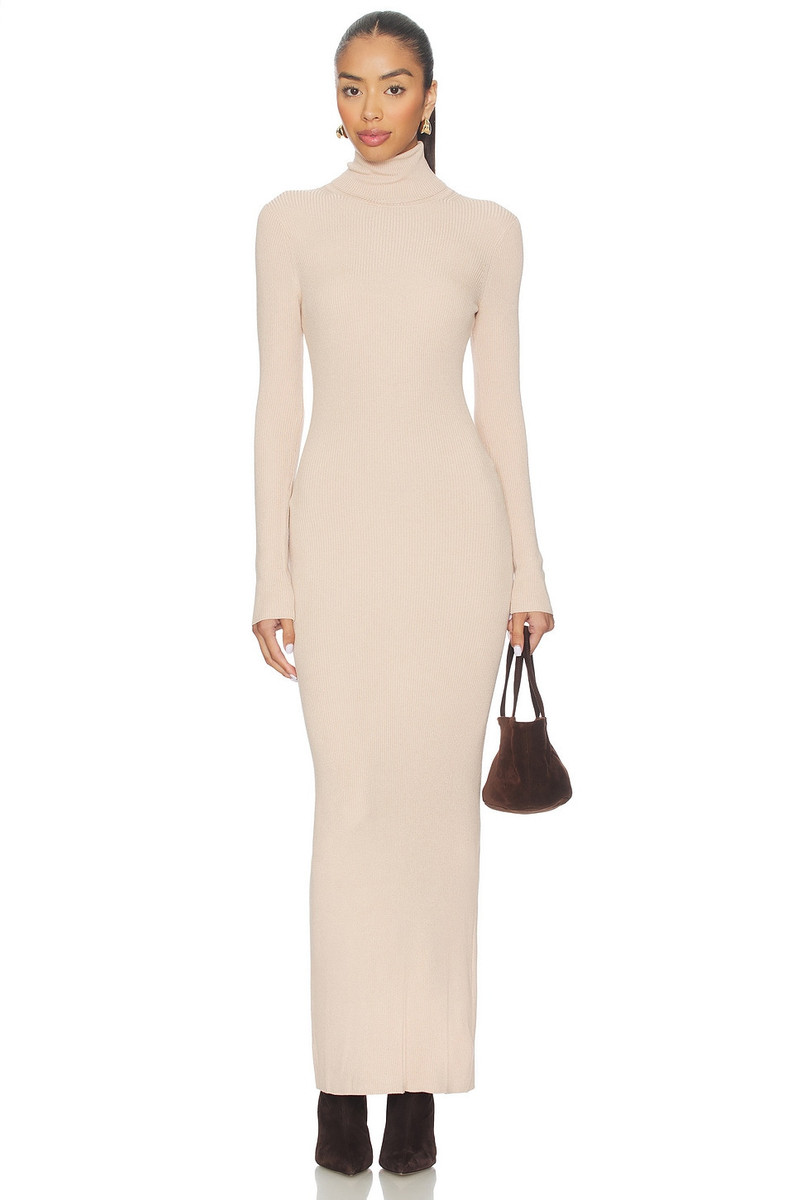 Turtleneck Dress 1